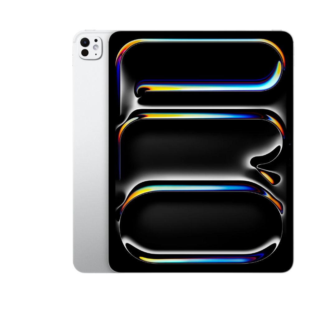 iPad Pro 13 M4 256GB