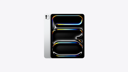 iPad Pro 13 M4 256GB